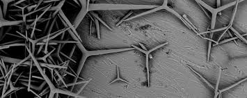 visione delle spicole o spicule in un cosmetico al microscopio